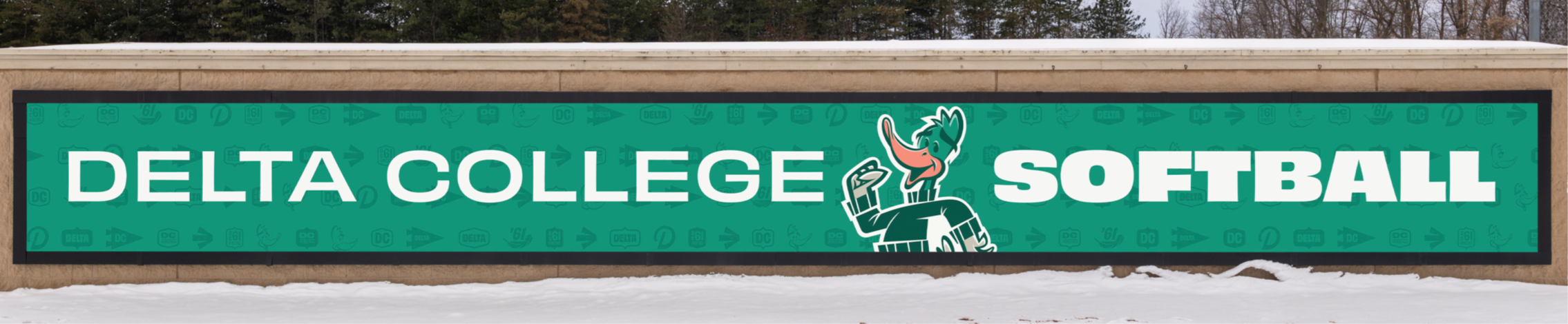 BannerFrameCLASSIC with Covers, Softball, Delta College