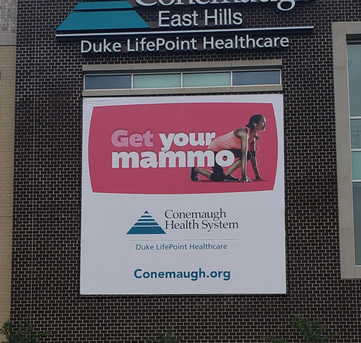 A Lind SignSpring Product – BannerFrameCLASSIC Without Covers for Conemaugh Health System on an exterior brick wall